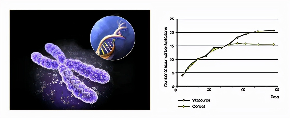注氧焕颜抗皱抗衰精华液,抗皱注氧精华