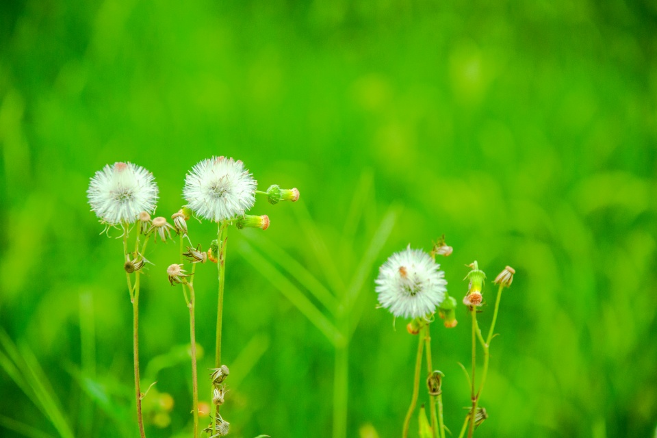 十二星座失恋后一般是怎么做的,十二星座失恋后的情景表现