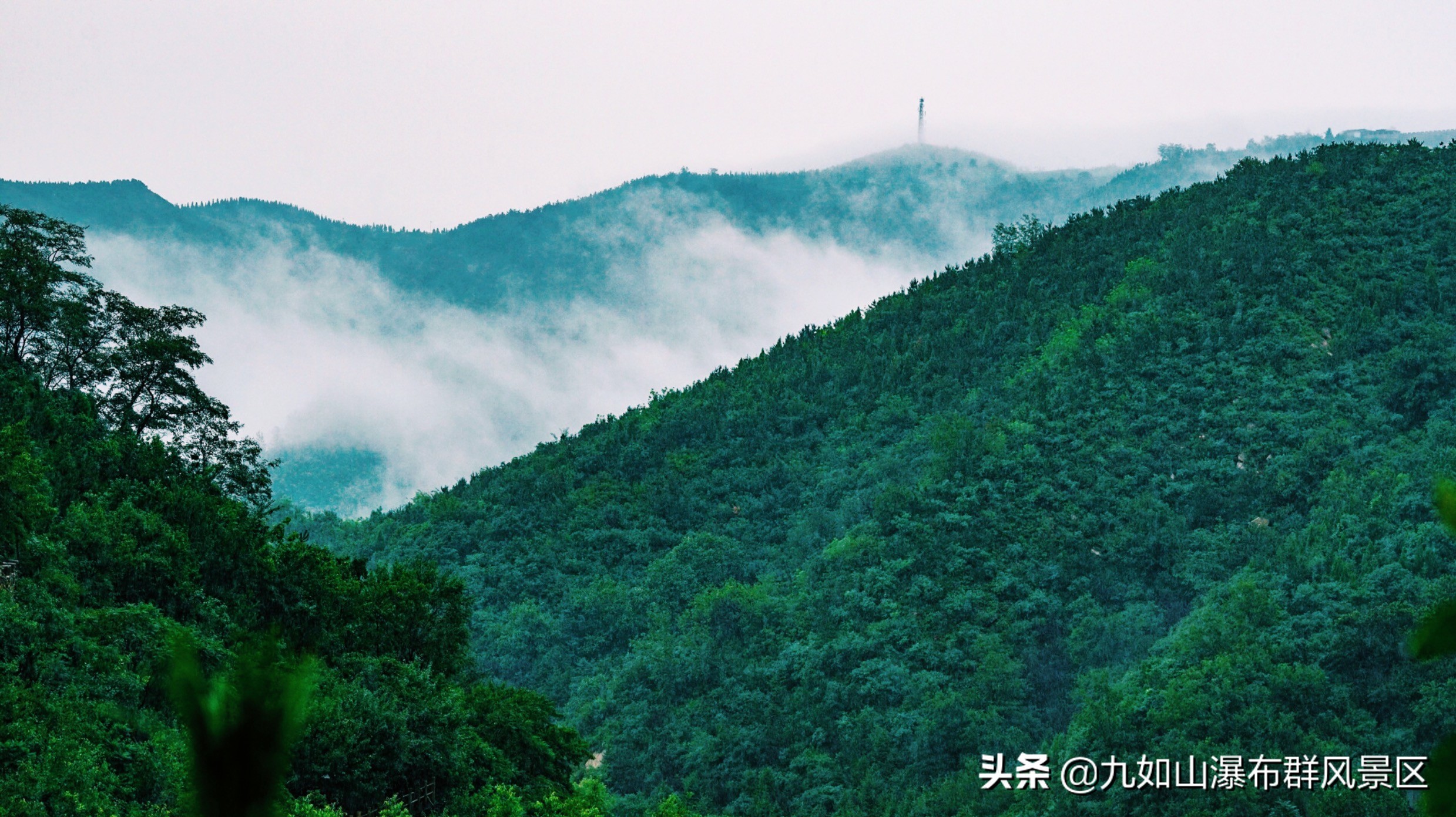 济南九如山60岁以上老人免票吗,济南九如山60岁老人免票吗
