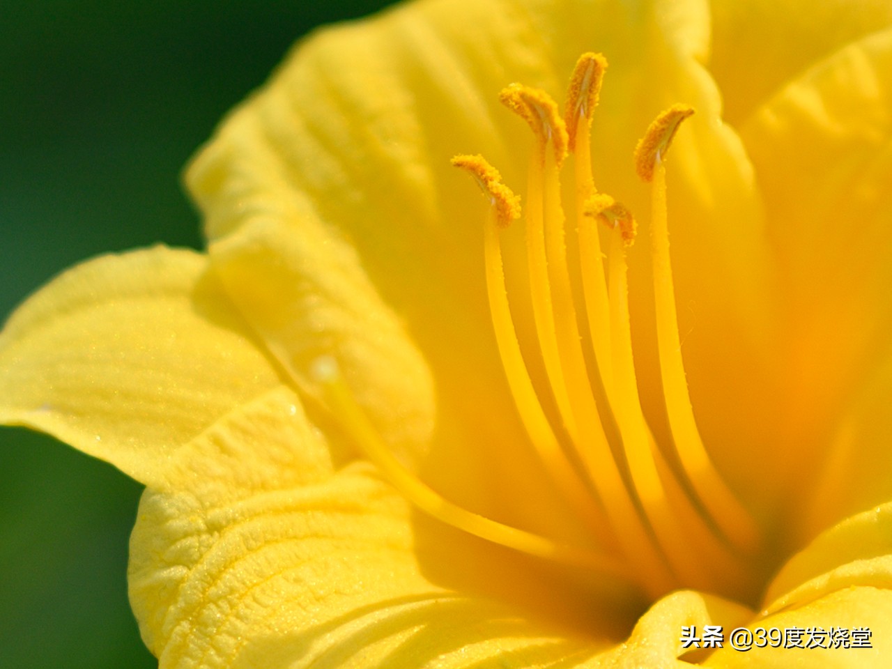 这5000元真值了！尼康Z85mmf/1.8轻量化人像镜头评测