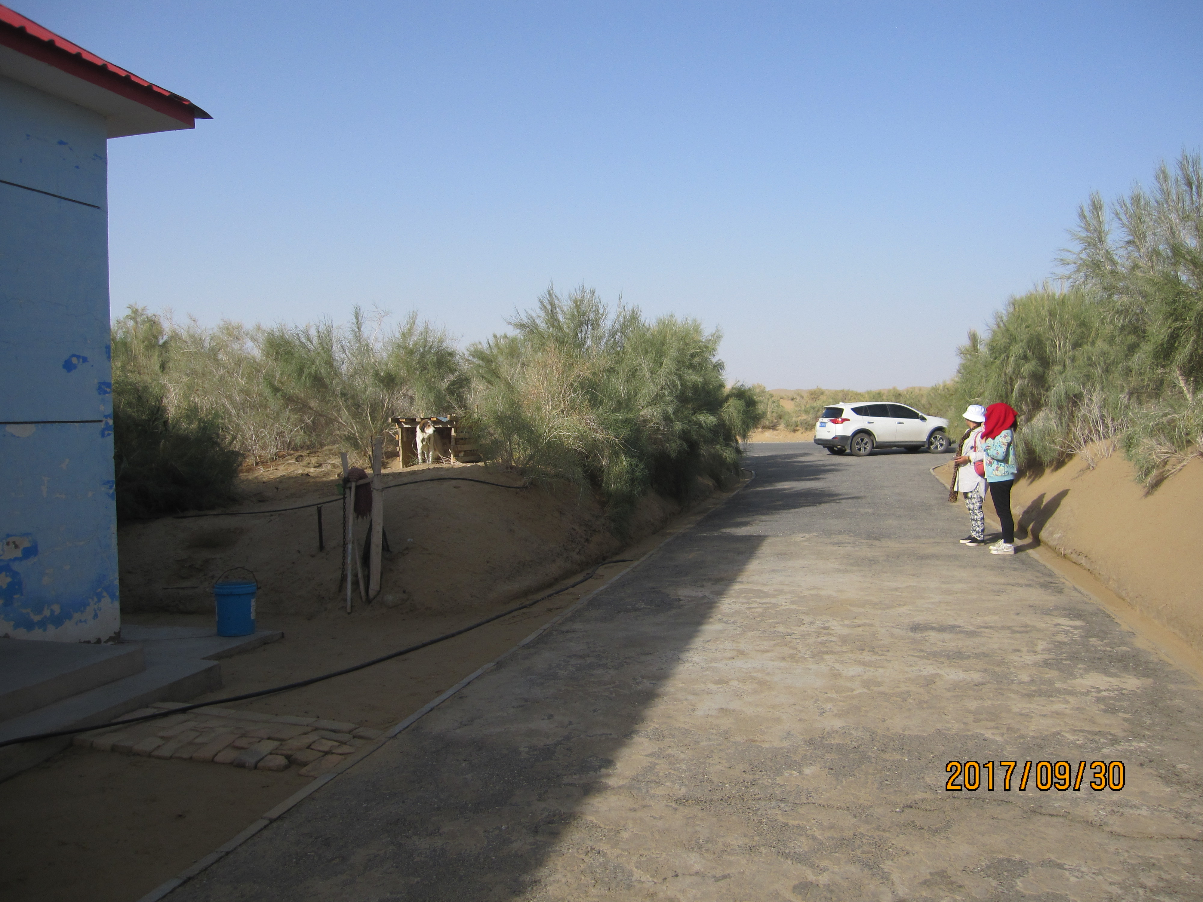 13000公里新手独驾*疆新**第23天——穿越塔克拉玛干沙漠，遭遇陷车