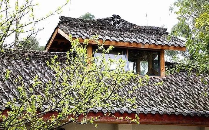 九莲小学怎么样,九莲小学