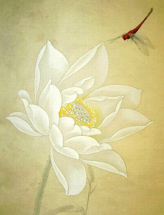 画荷花出淤泥而不染濯清涟而不妖,荷花出淤泥而不染濯清涟而不妖