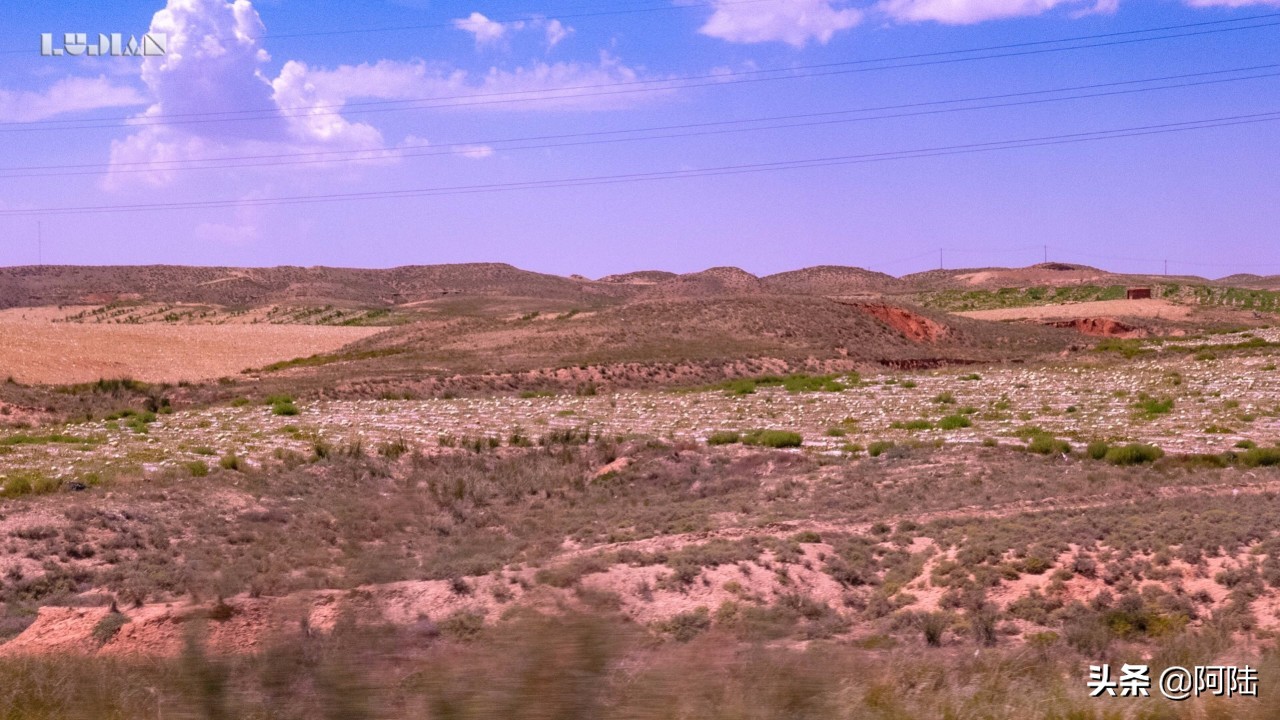 宁夏中卫硒砂瓜长在戈壁滩,吴忠市硒砂瓜也禁止种植吗