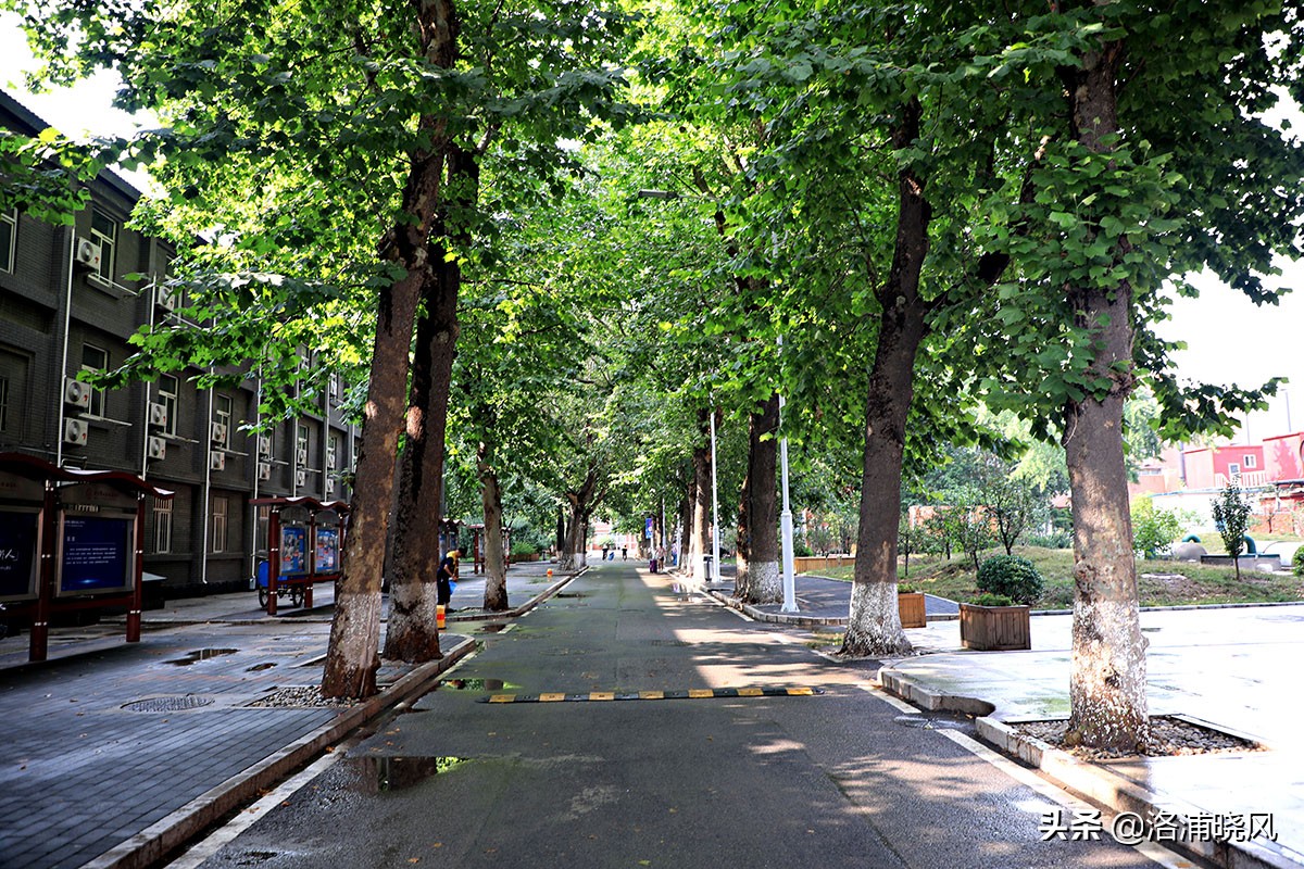 北京第二外国语学院风景,北京第二外国语学院分析