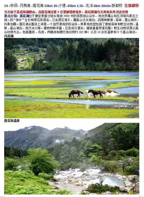 习惯独来独往的我愉快出发,结束3天自由行旅程