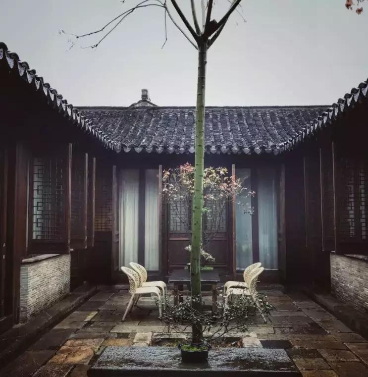 南京的秋天浪漫吗,一起去看南京最美的秋天