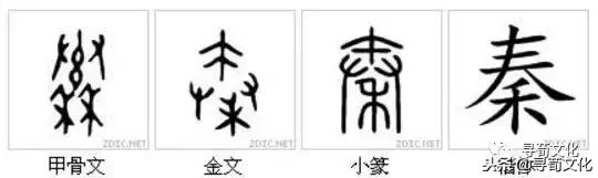 秦汉姓氏,秦汉文字的演变