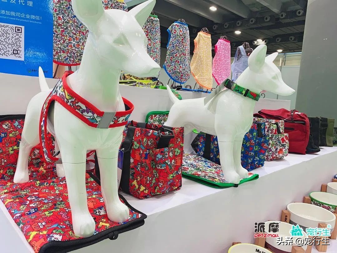 2020CIPS宠物展于广州开展，一大波萌物正在靠近