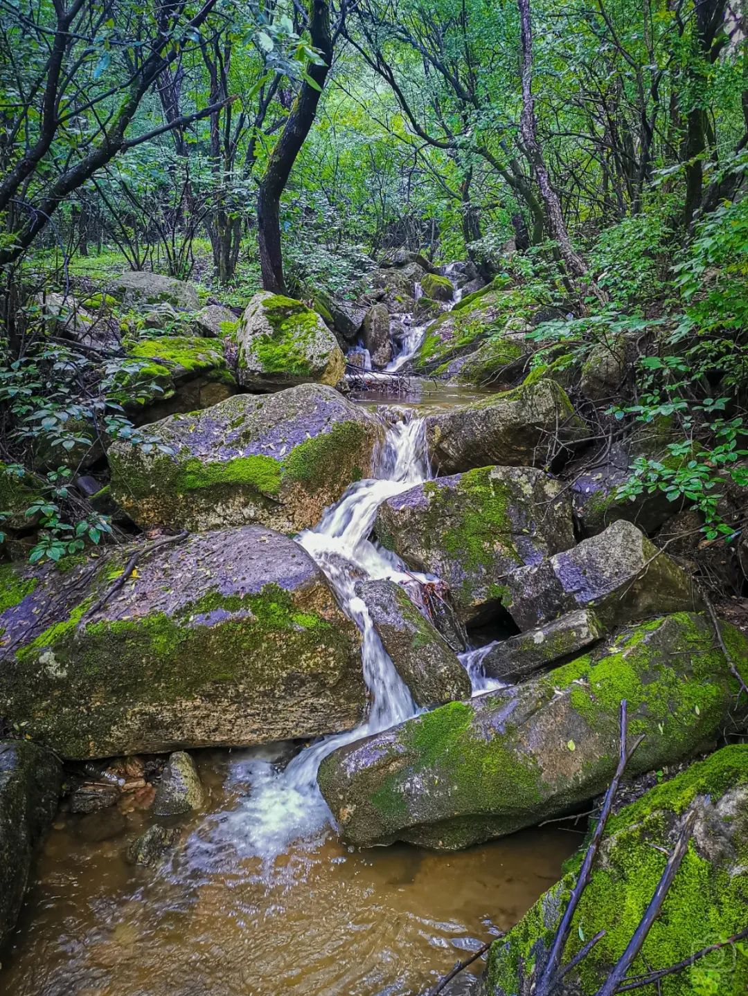 徒步穿越北驼梁完整版,穿越花海古道游记