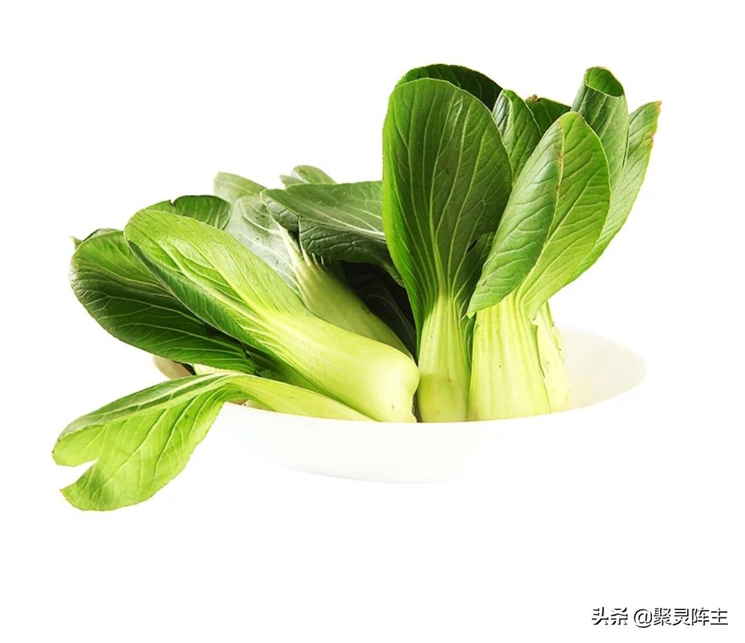 有哪些比较靠谱的买菜app,互联网买菜app哪个好