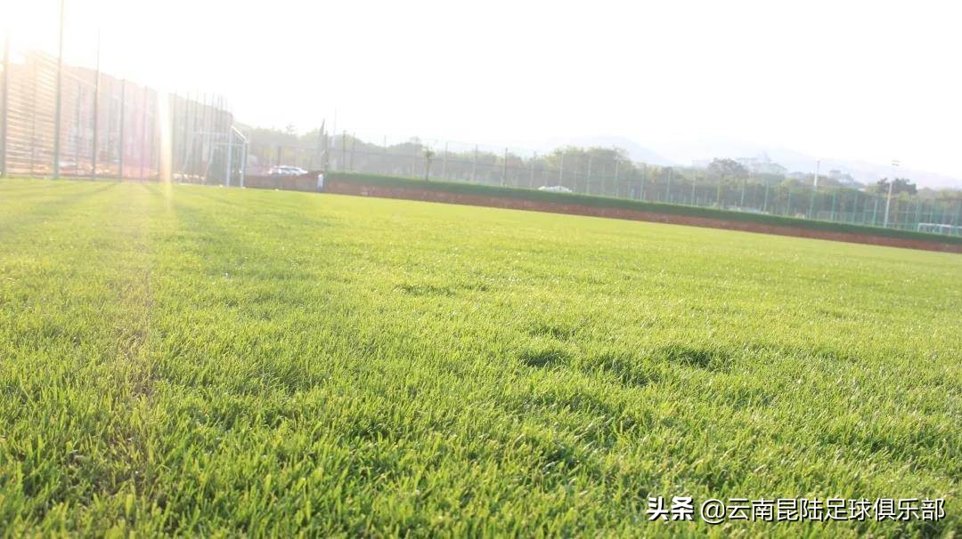 云南昆陆主场赛程表,昆陆来开远集训