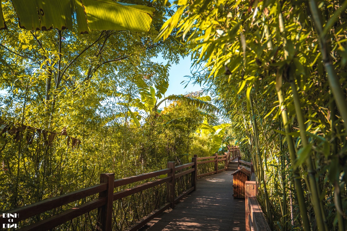 贵阳必去的五个景点黄果树瀑布,黄果树瀑布游玩一日最全最详攻略