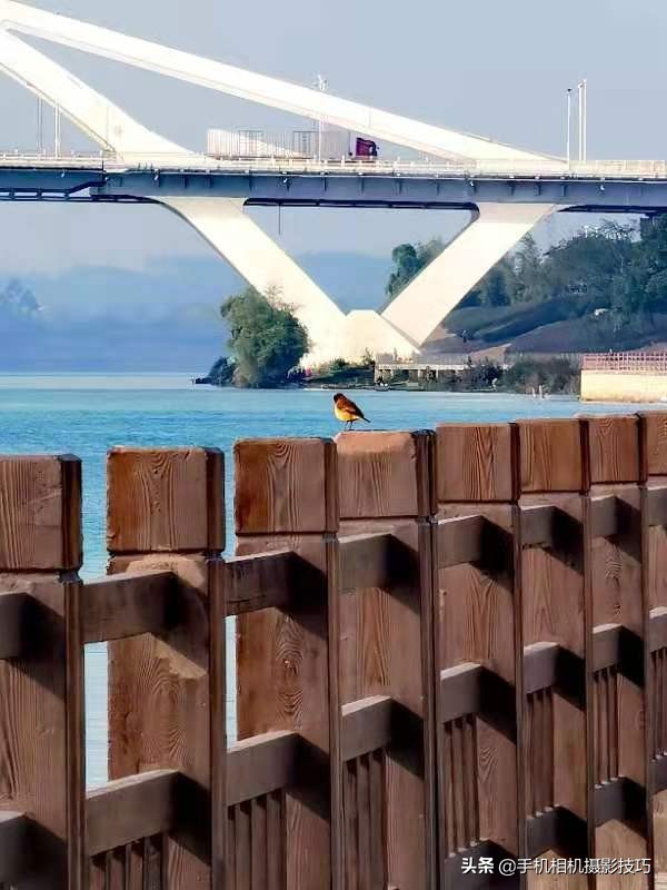 手机变焦和放大的区别,手机变焦有什么用