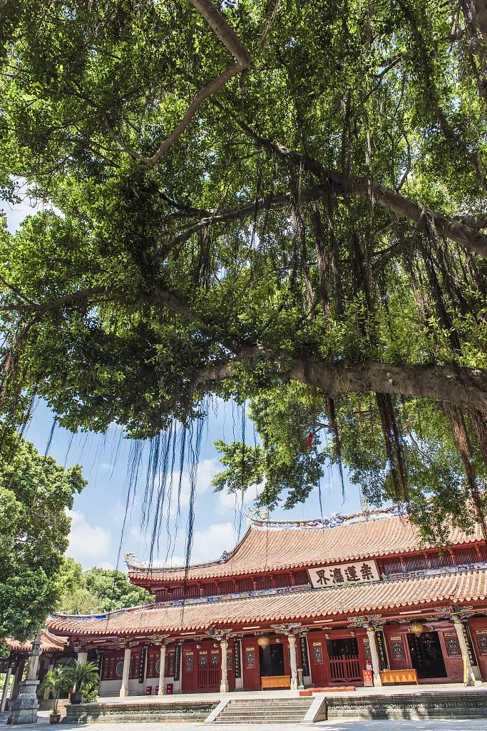 泉州，你可真是太拼了