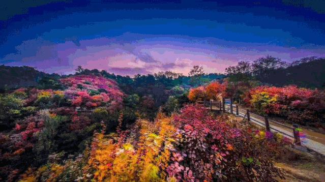 九如山冬日旅游,九如山旅游攻略一日游春季