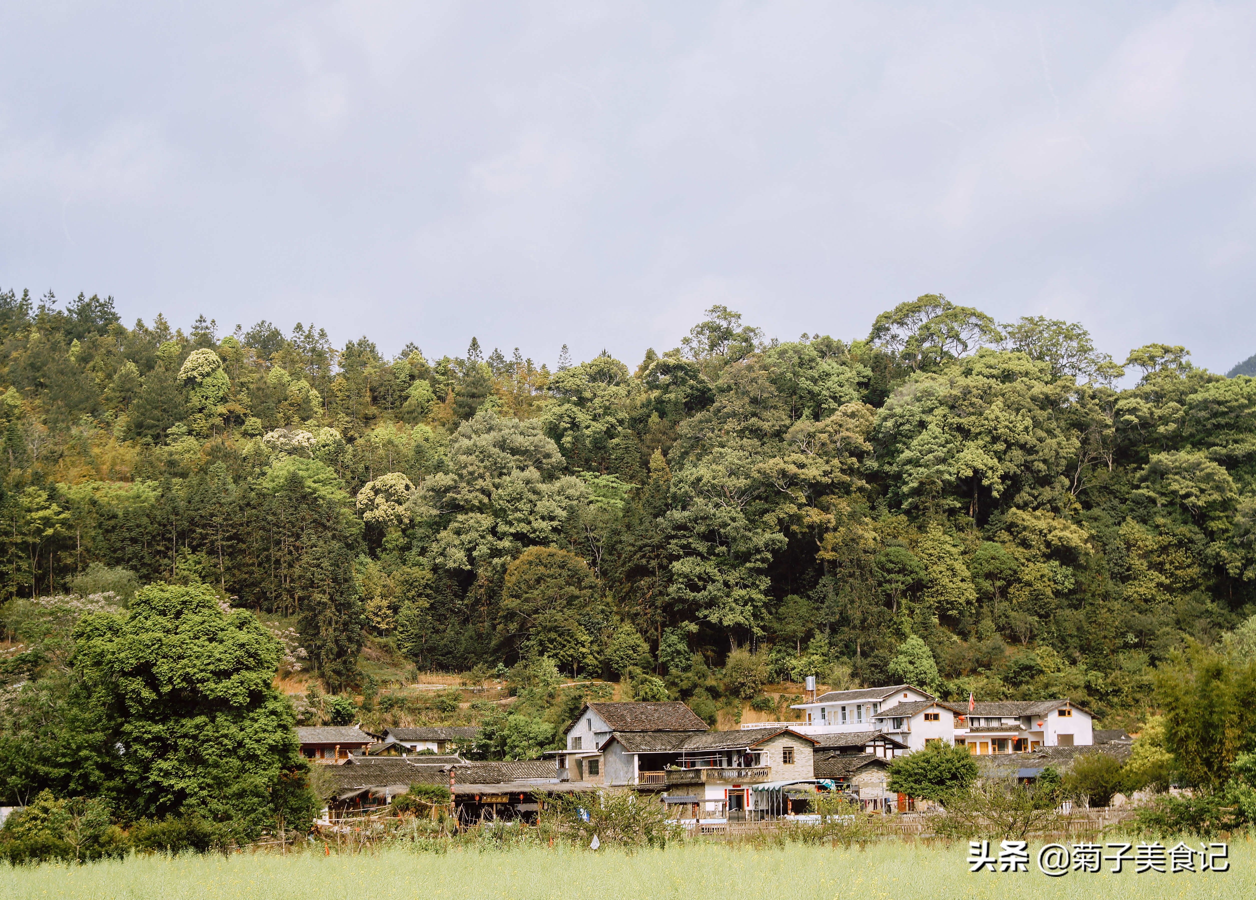 家常菜选什么生抽蚝油,老抽生抽蚝油味极鲜怎么选
