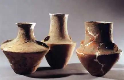 贾湖酒业直播现场,贾湖酒业最新产品