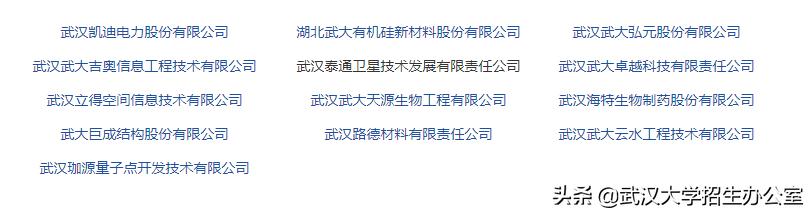 武汉未来10年发展规划,武汉公布最新重要消息