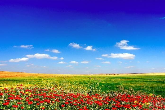 蠡县经济排名,蠡县排行榜