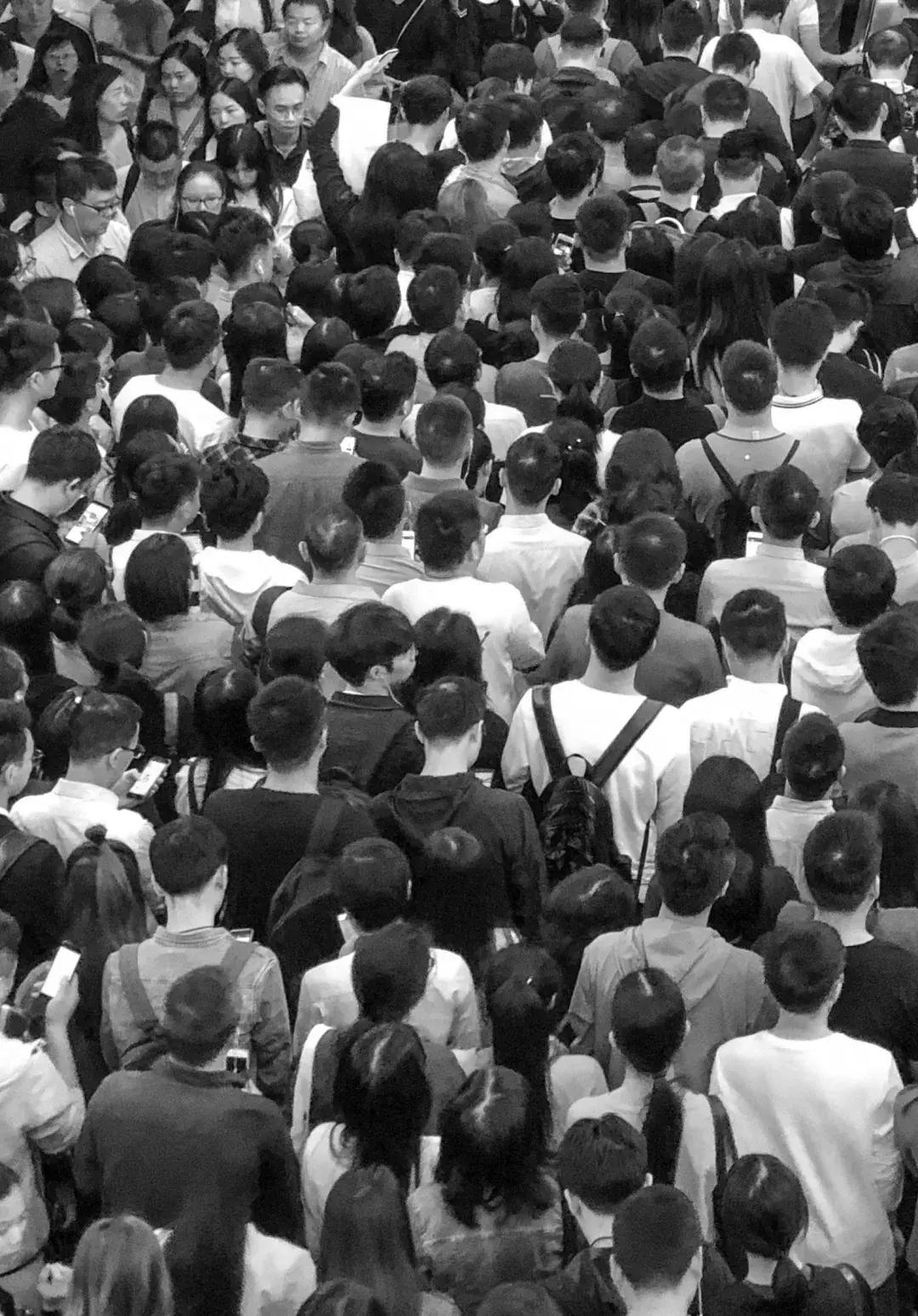 白石洲消失的原因,白石洲今日消息