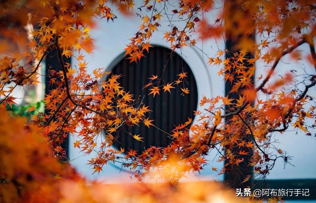 去日本神户还是奈良,到了大阪先去神户还是奈良