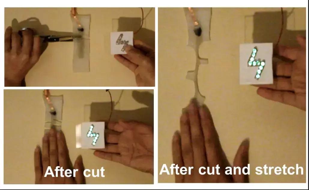 师承王中林、鲍哲南，这位青年科学家打造自发电的软机器人｜专访