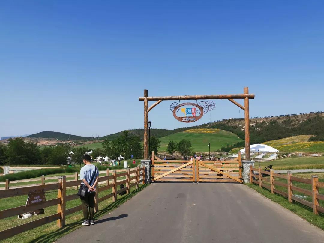 大连旅游攻略精致景点推荐,大连必去的打卡景点