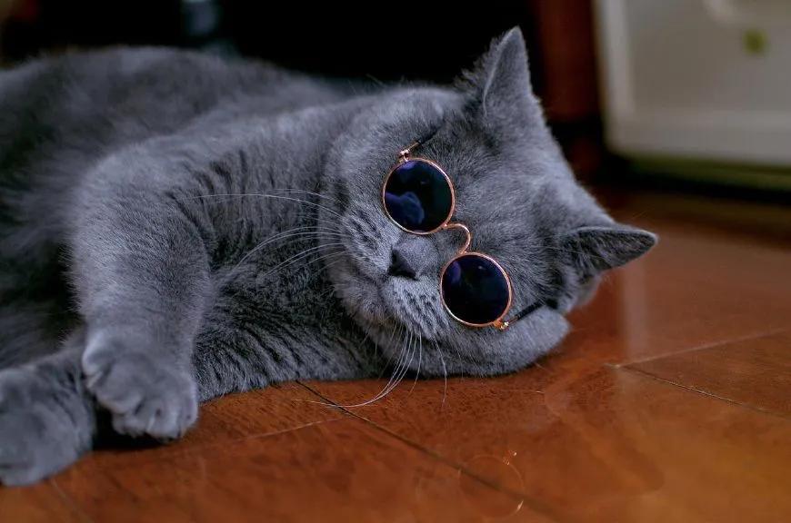 鏈夋病鏈変竴涓汉鎶婁綘瀹犳垚濂崇帇,琚竴涓汉瀹犱綘灏辨槸濂崇帇