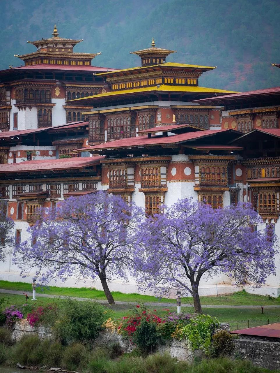 中国最没被认全的邻居,我国未被识别的民族有多少