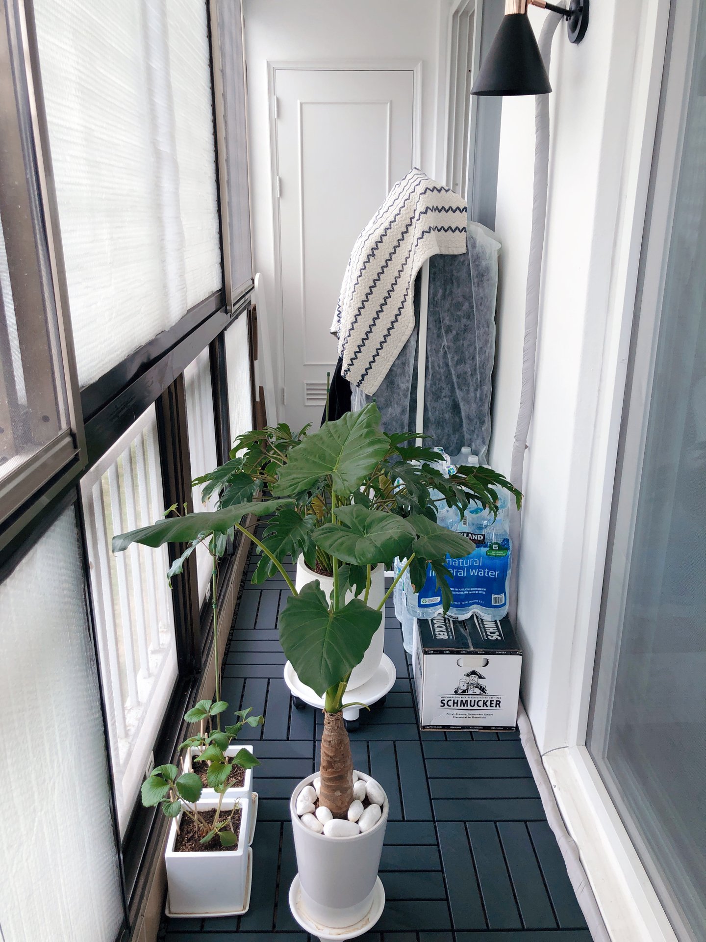 租的房子后悔了怎么办可以转租吗,后悔把房子出租了