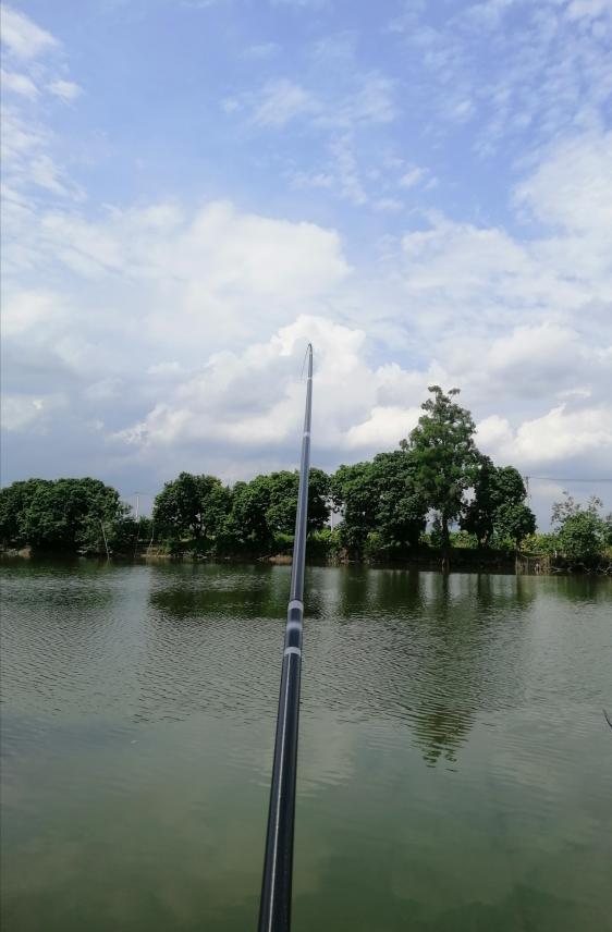 新手选鱼竿怎么选,新手怎么选鱼竿最合适