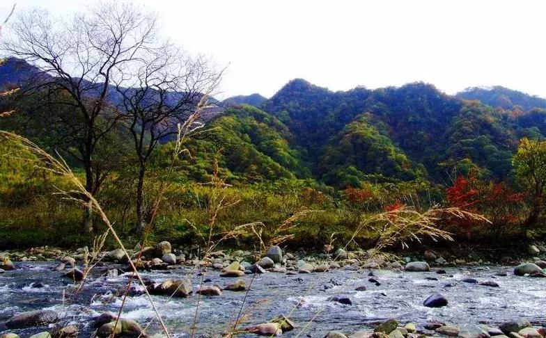 十种不易造假的玉石,十种不输翡翠的小众玉石