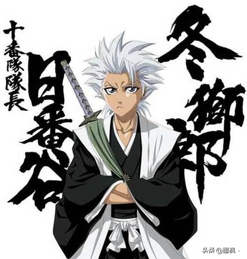 死神护庭十三番队详细介绍,死神护庭十三队长