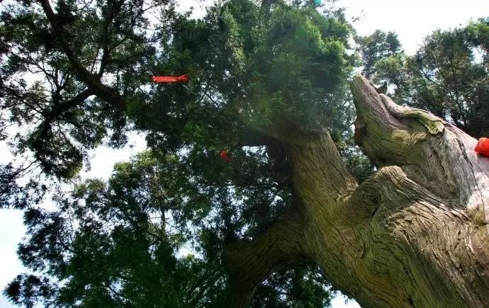 成都周边一日游适合10岁小朋友,成都周边一日游景点推荐2021