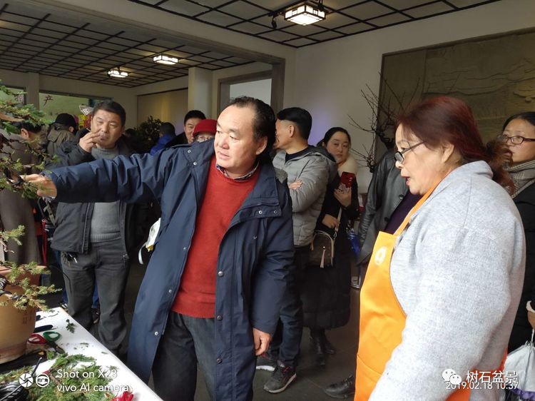 金艳盆景精品欣赏,幸得一知己