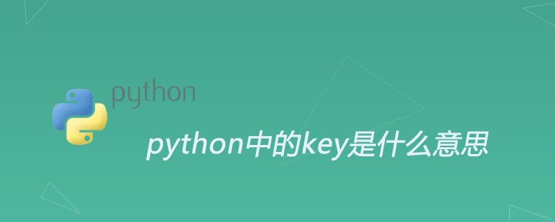 python中的key是什么意思