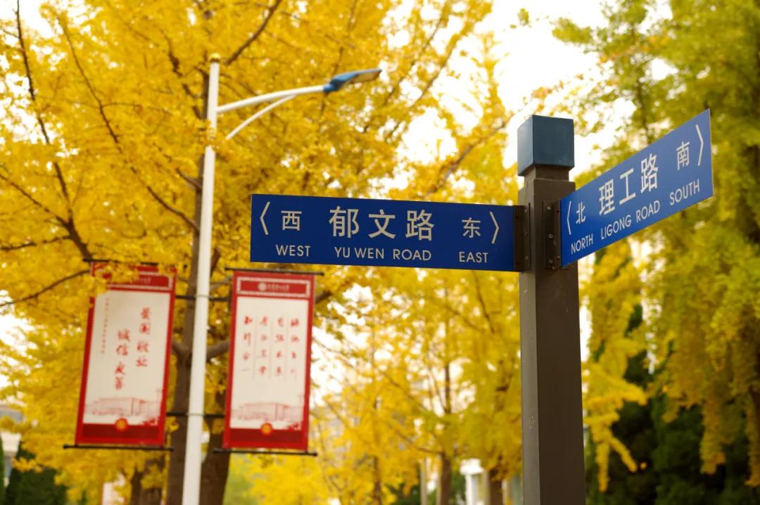 醉美大工秋|读书不觉已秋深，____________