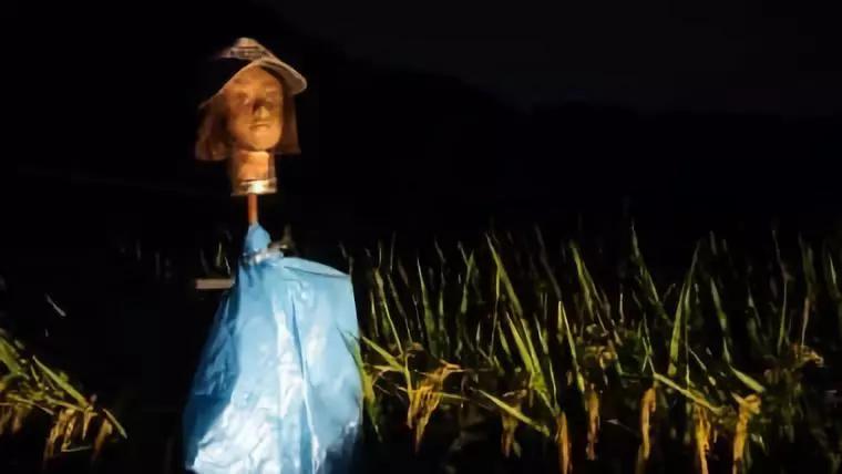 日本有个村庄全是人偶,日本旅游娃娃村