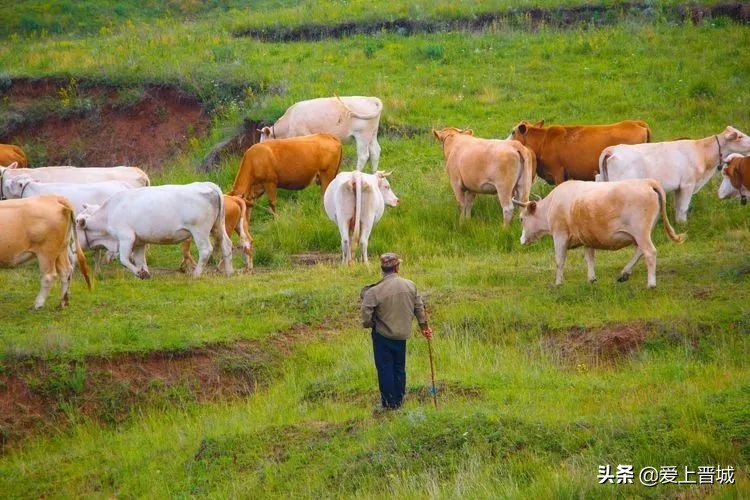 晋城有个啥山,晋城有什么山有名