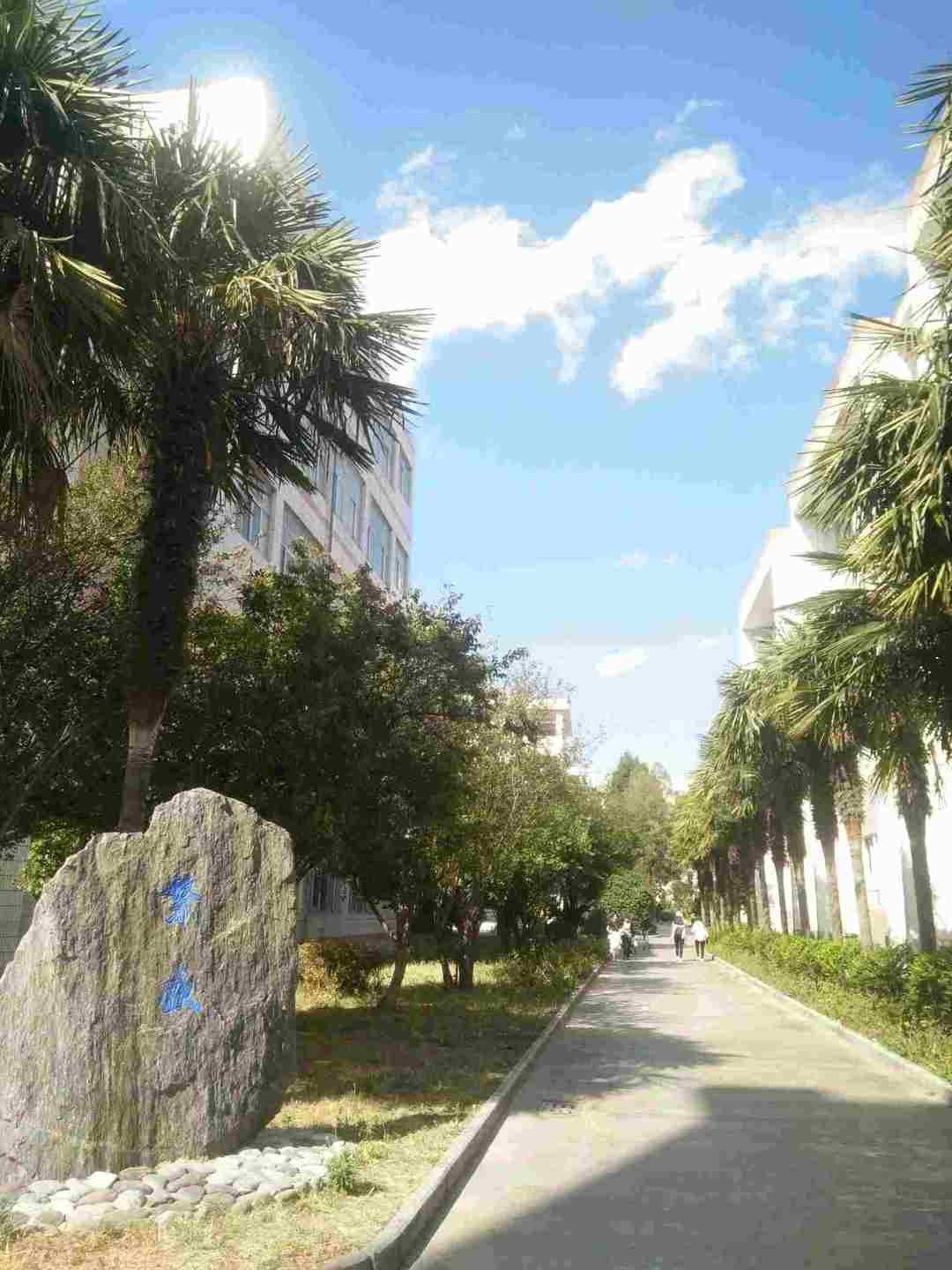 省考给了我一个回高中学校的机会---你有多久没有回去了？