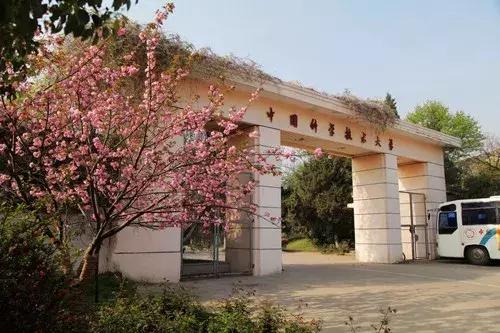 新校长讲话主题,新校长第一次全体教师会议讲话