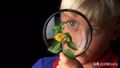 60岁人的思维导图怎么画,多大孩子适合画思维导图