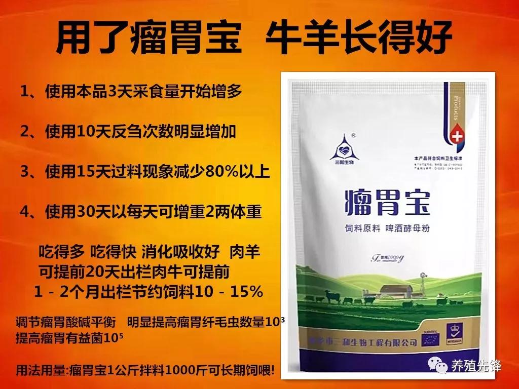 养牛老汉总结的30条养牛经验(1)