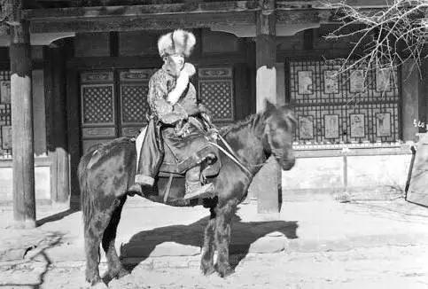 玉龙雪山附近原始村落,玉龙雪山下的村叫什么