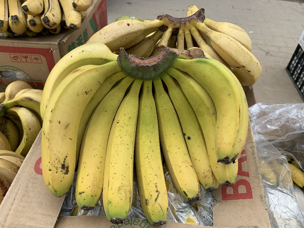 买香蕉时选直的还是弯的,买香蕉怎么挑弯