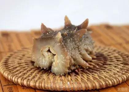 海参营养好吃的简单做法,海参煮久了营养会流失吗