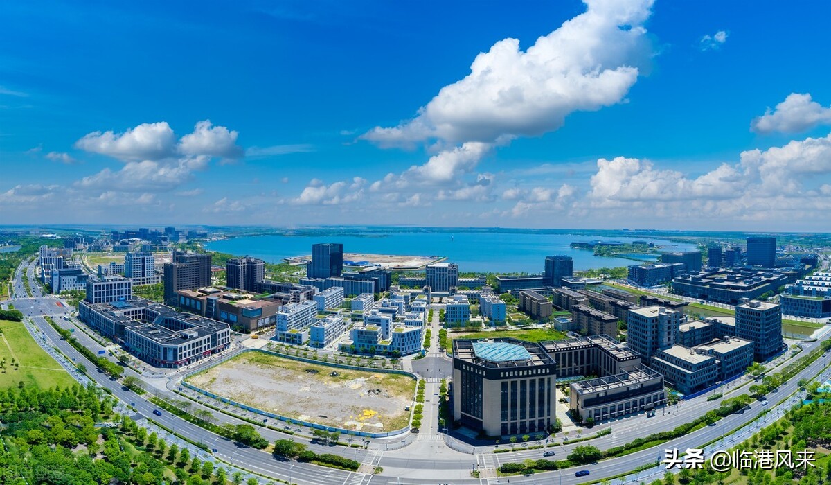 临港建平对口的小学,临港学区划分图