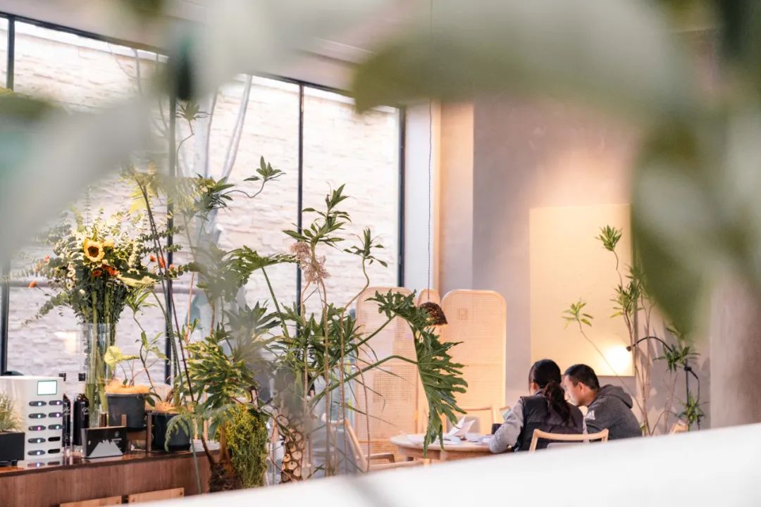 京城首家！探秘最热门“一尺花园”咖啡馆，西山脚*体下**会海派腔调