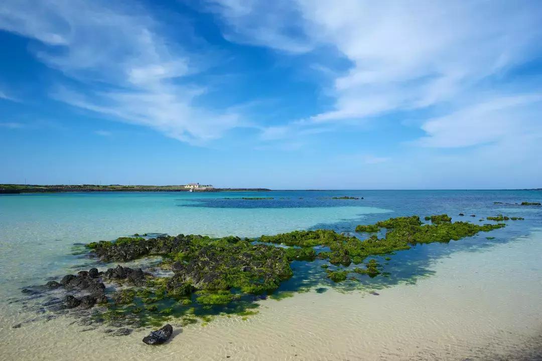 6月23日-28日，中韩影视高研班济州岛之旅